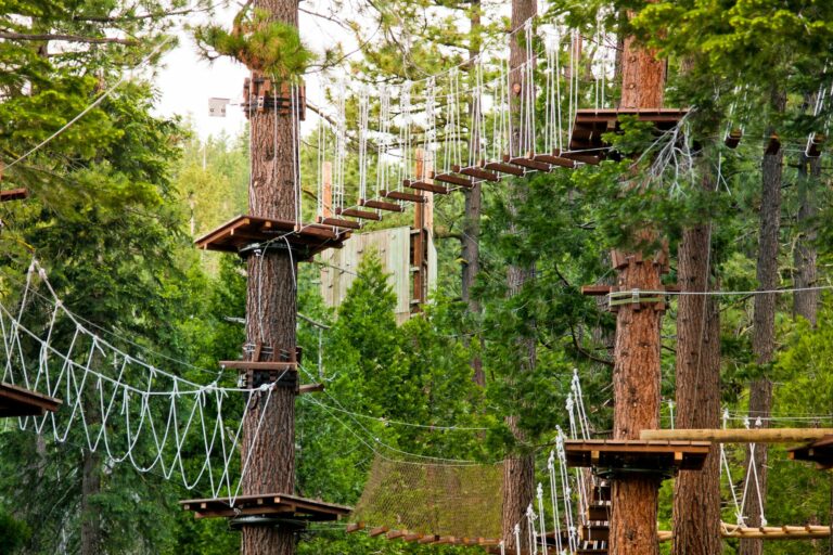 The Adventure Parks of Reggio Emilia, Modena and Parma